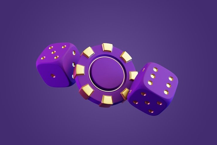 Account dashboard showing referral codes and promotion status